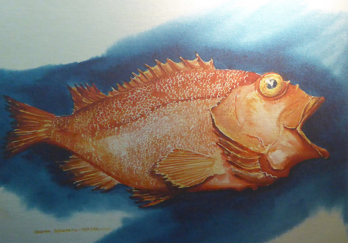 Brushed Aluminum Prints